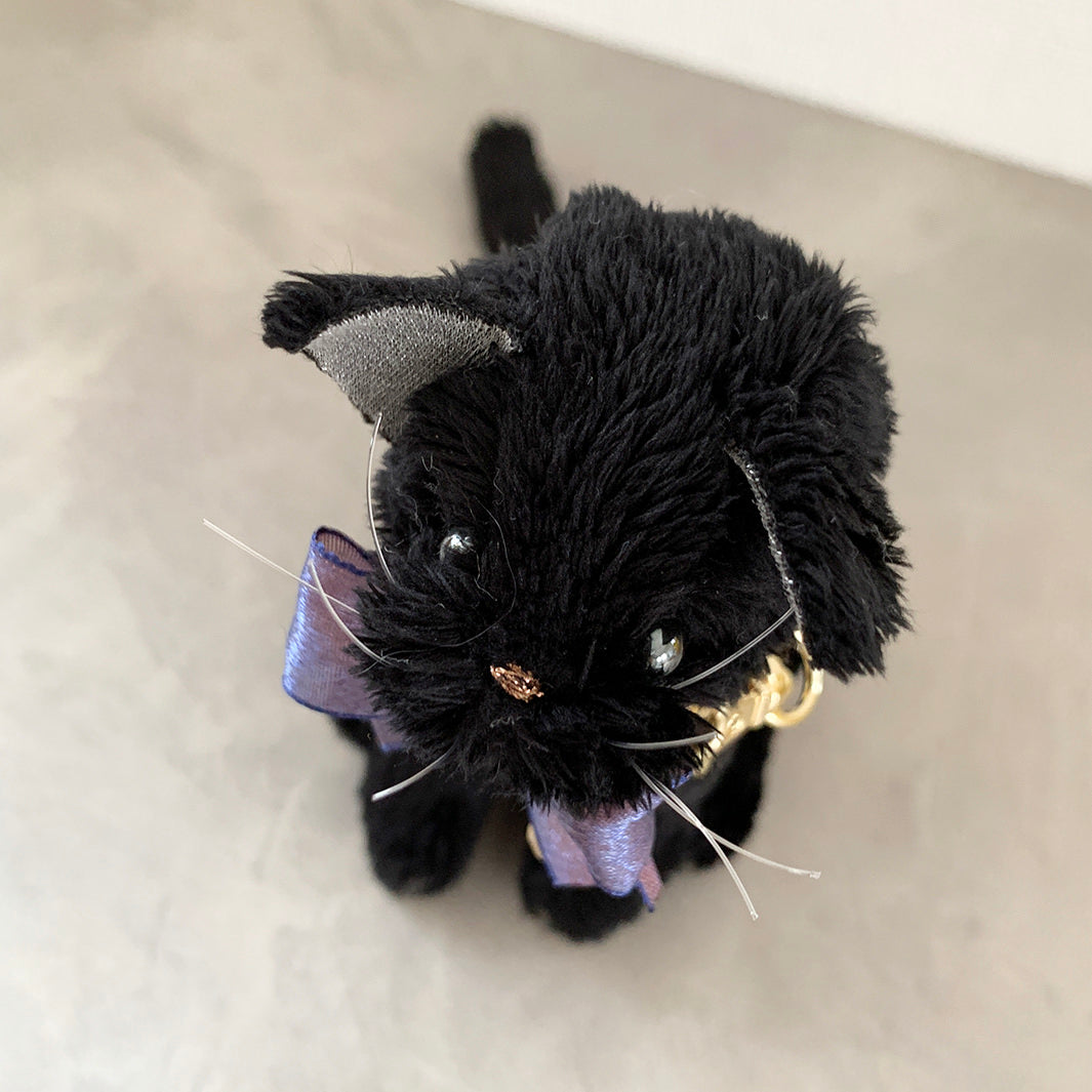 CoutureCAT|BlackCAT_BlackEYE_S