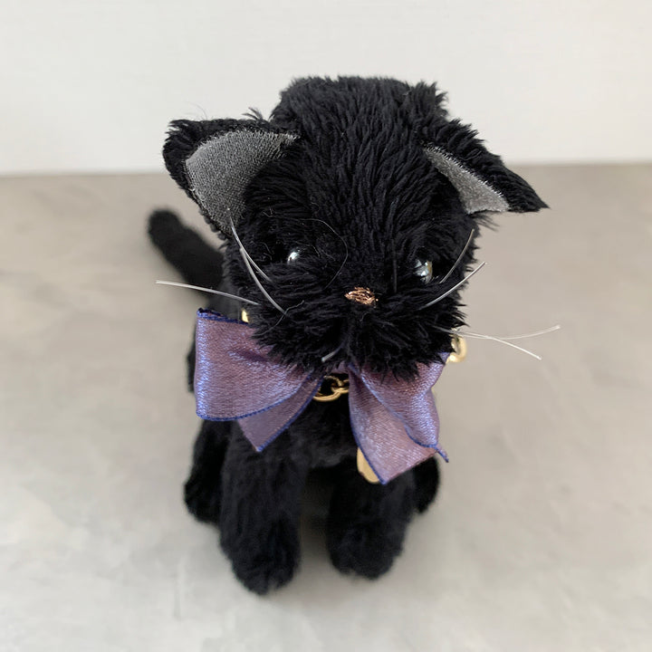 CoutureCAT|BlackCAT_BlackEYE_S