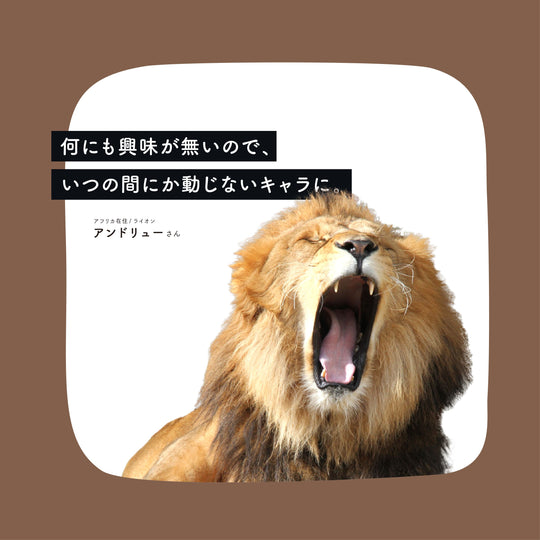 妄想インタビュー｜アンドリュー
