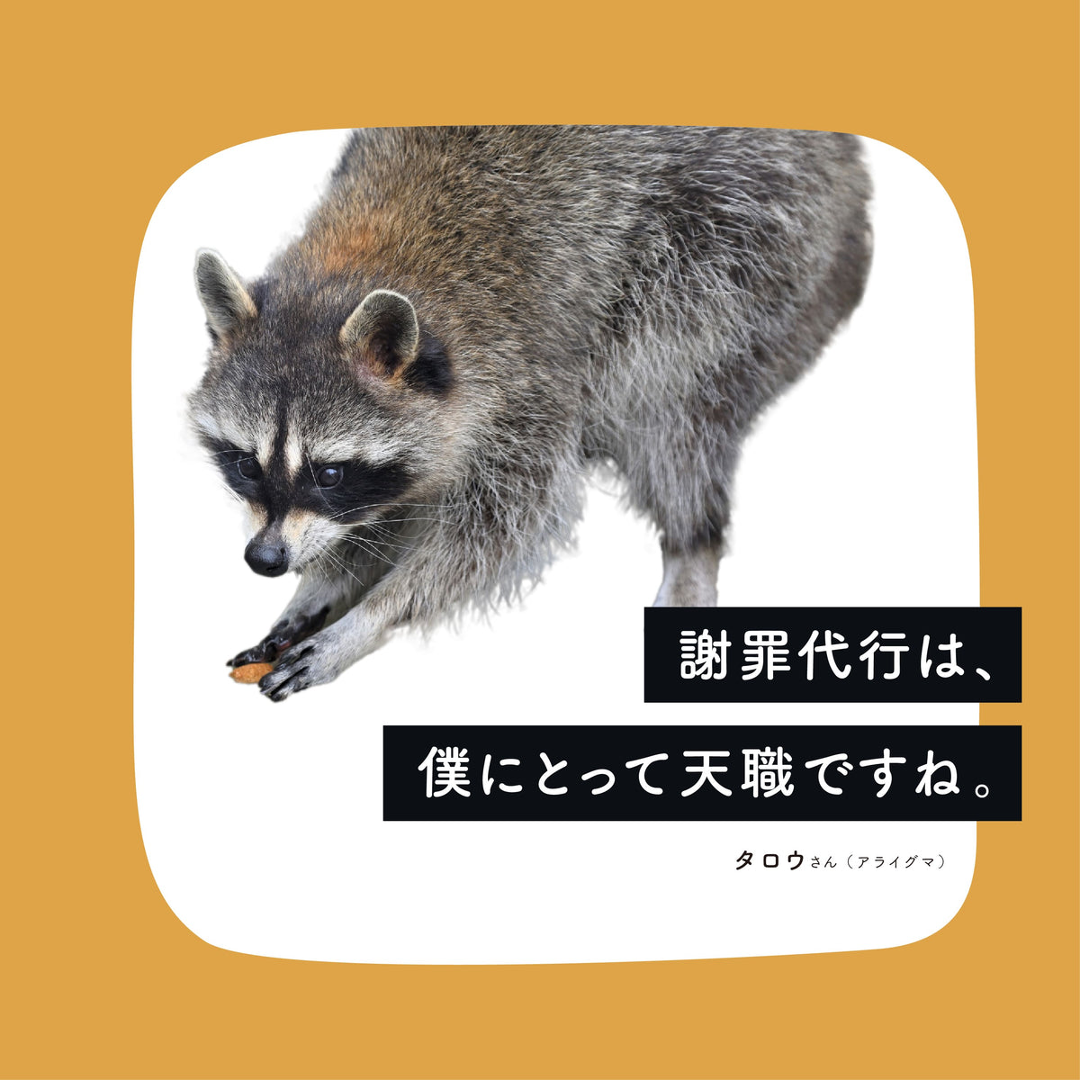 妄想インタビュー｜タロウ