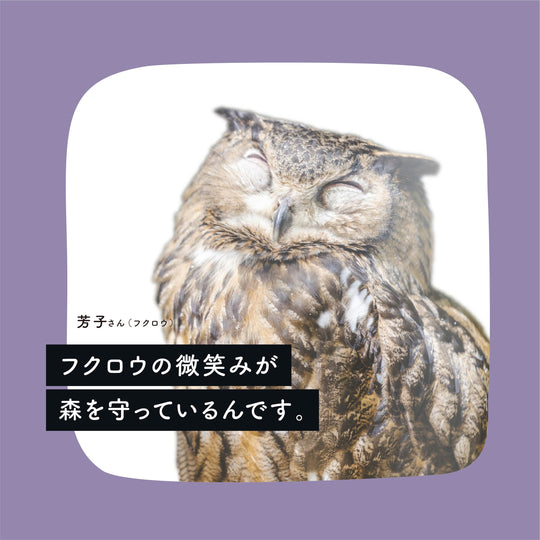 妄想インタビュー｜芳子