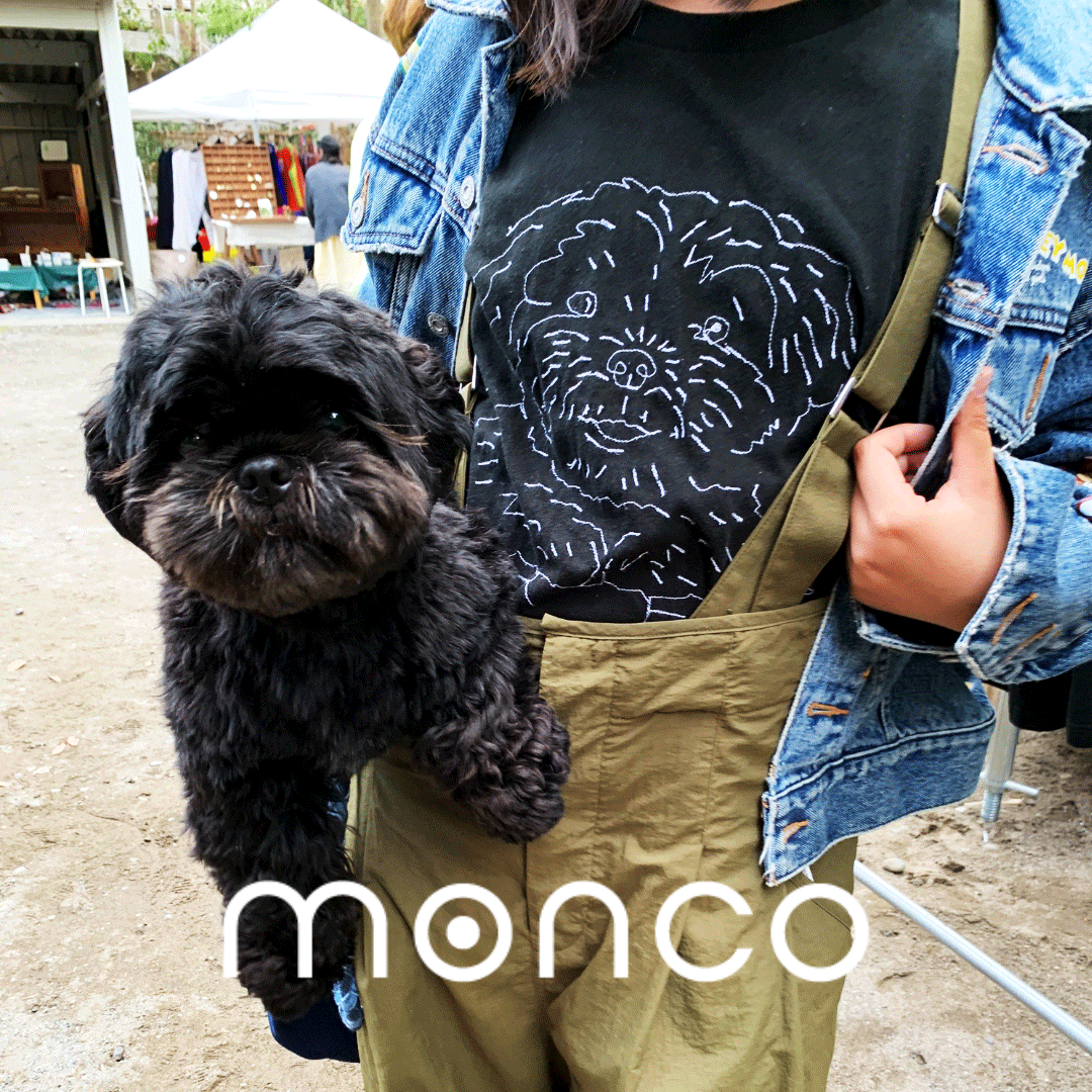 monco。はじまりました。