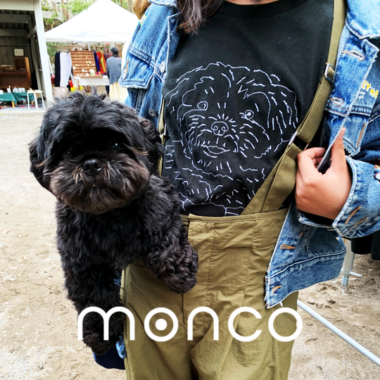 monco。はじまりました。