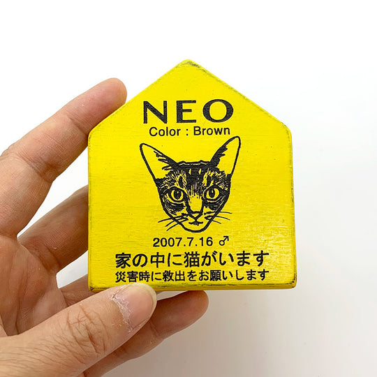 amaco’s pet plate 制作レポート２「NEO編」