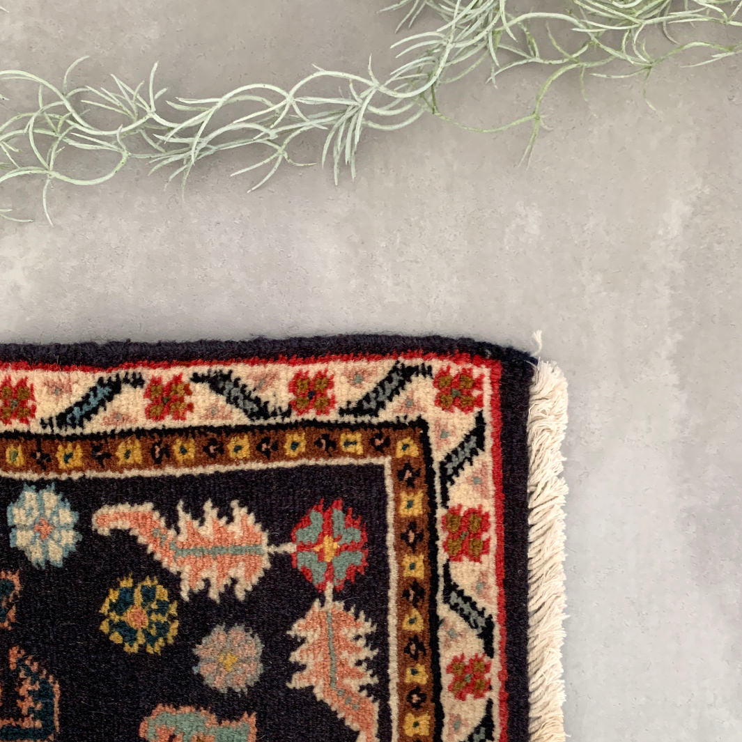 Pakistan mini rug｜56