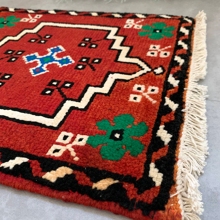 Pakistan mini rug｜55