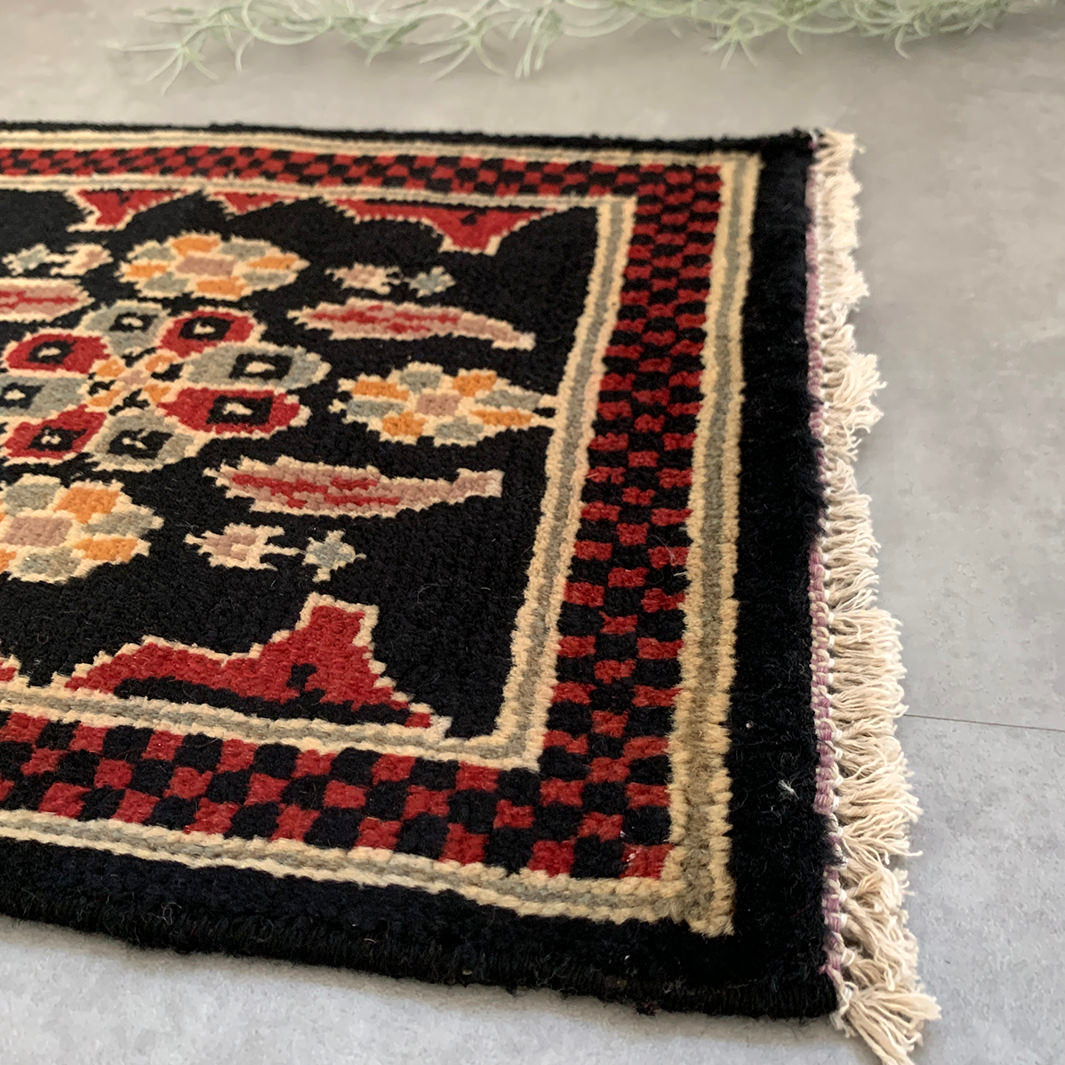 Pakistan mini rug｜54