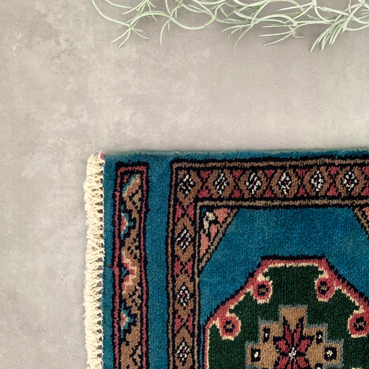 Pakistan mini rug｜48