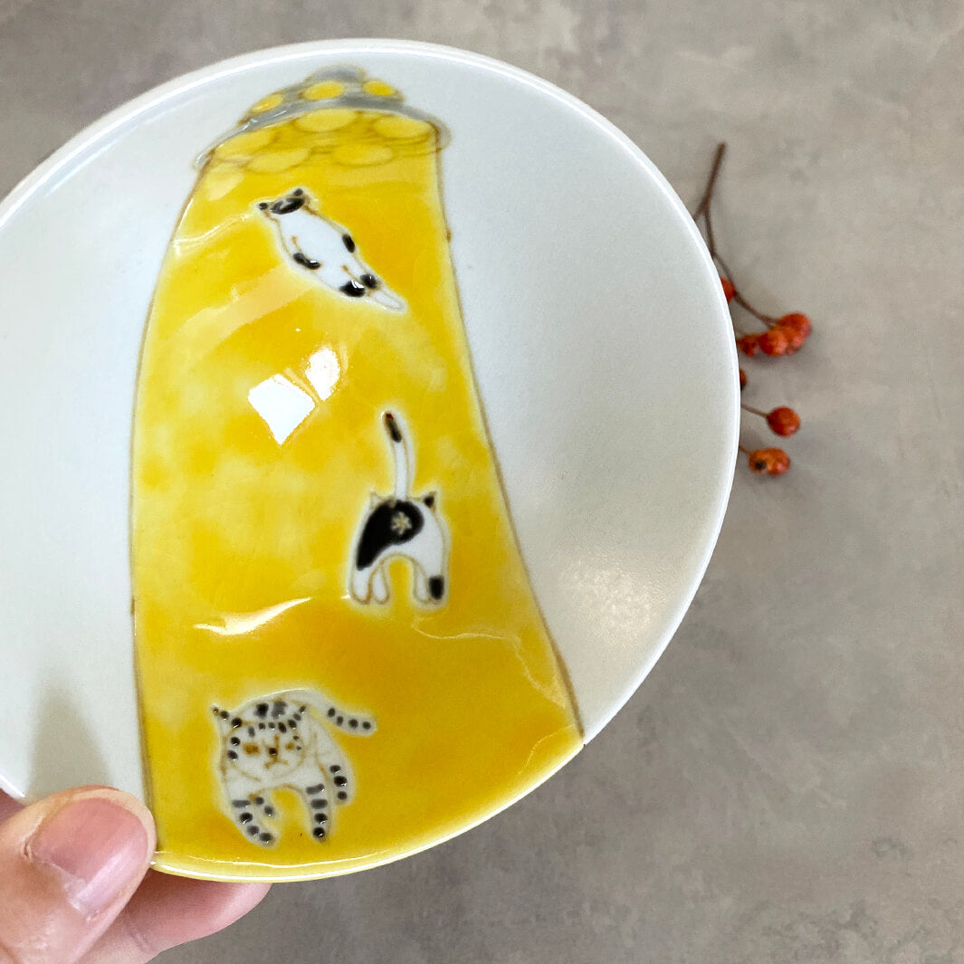 メシワン｜猫連れ去られる_B4