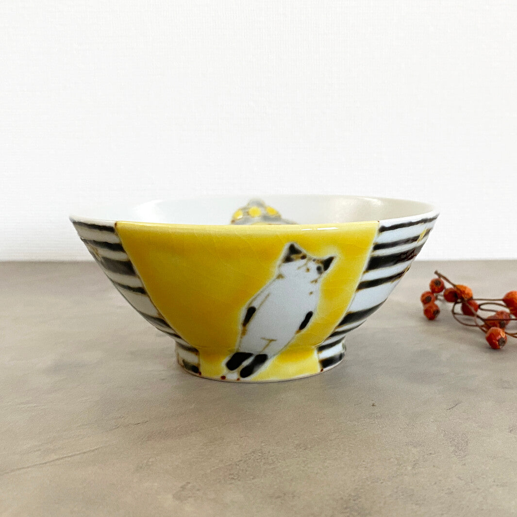 メシワン｜猫連れ去られる_B4