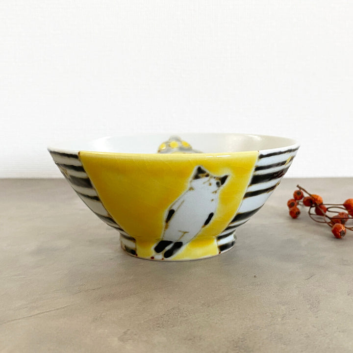 メシワン｜猫連れ去られる_B4