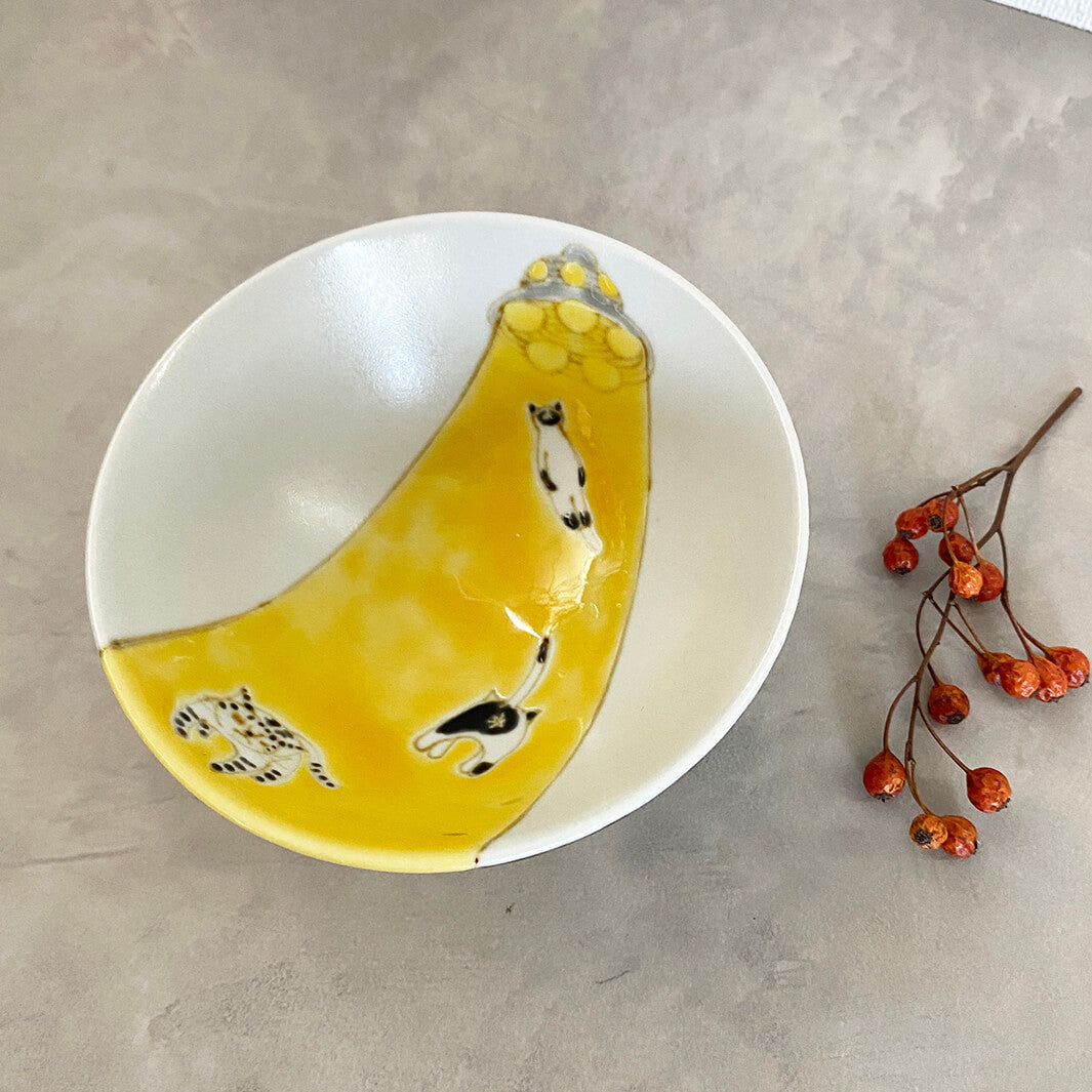 メシワン｜猫連れ去られる_B4