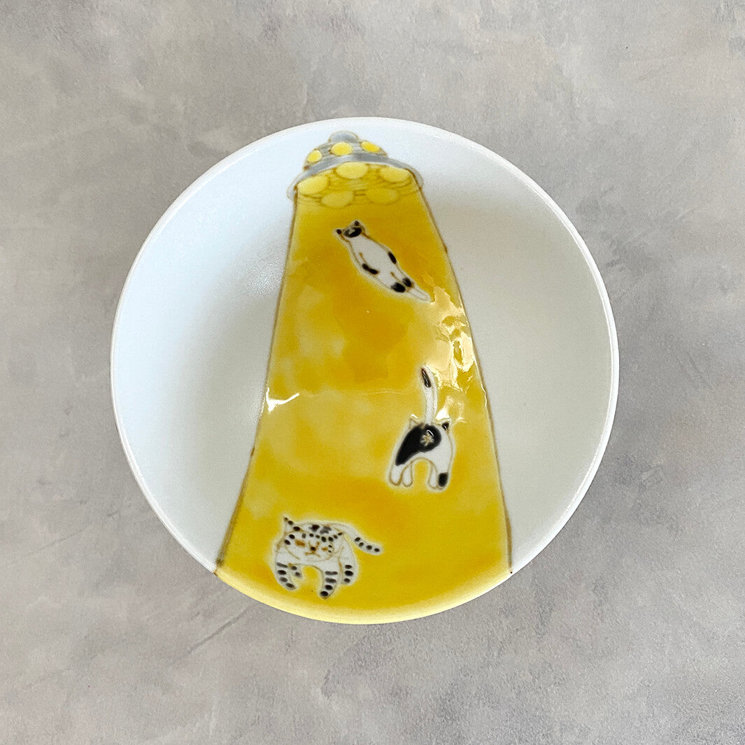 メシワン｜猫連れ去られる_B4