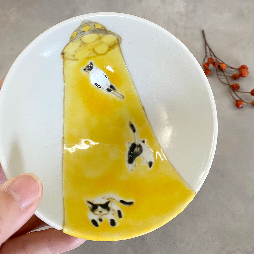 メシワン｜猫連れ去られる_B3