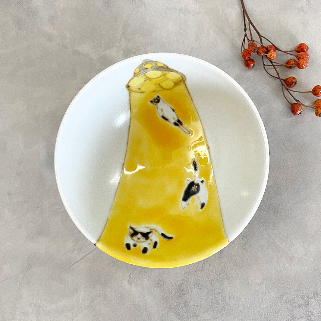 メシワン｜猫連れ去られる_B3