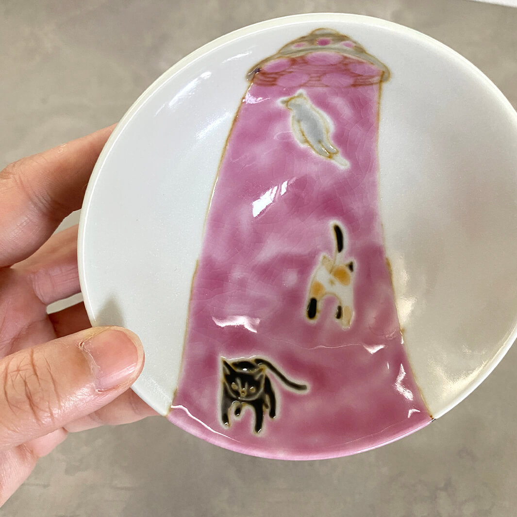 メシワン｜猫連れ去られる_B1