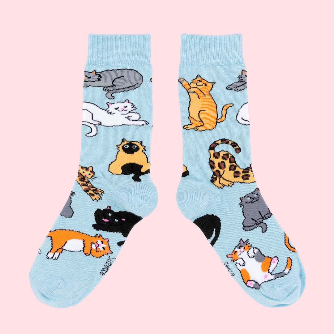 Coucou Suzette｜Meow Socks