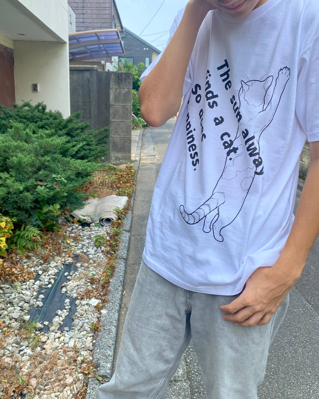 「The sun always finds a cat. So does happiness. 」T-shirts｜White