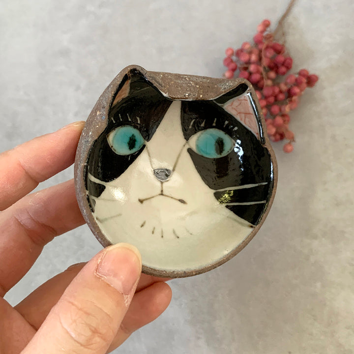 豆鉢｜猫楽_かお_３