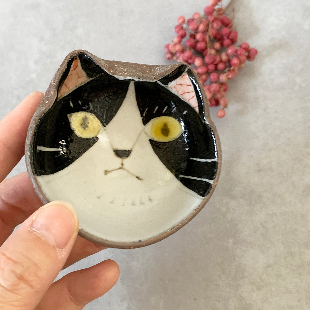 豆鉢｜猫楽_かお_３