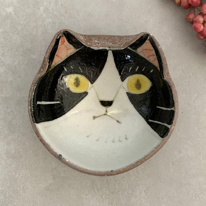 豆鉢｜猫楽_かお_３