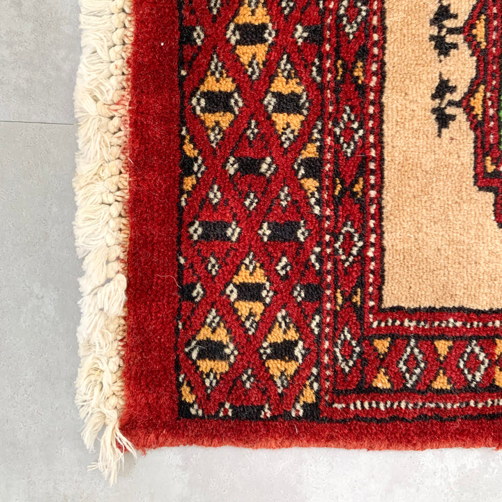 Pakistan mini rug｜４０