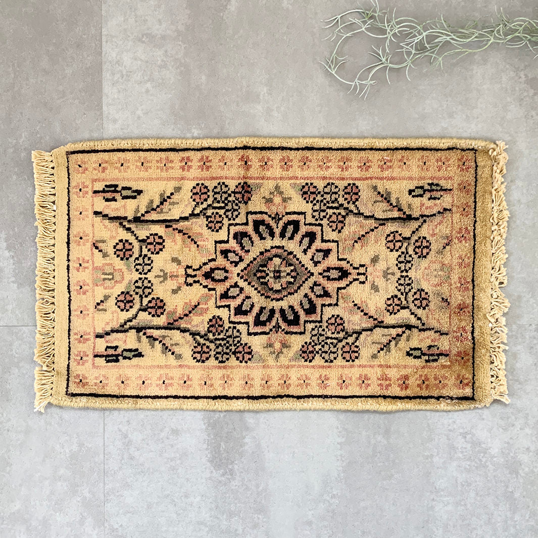 Pakistan mini rug｜４１ – monco